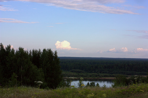 IMG 2330.jpg