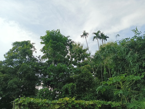 IMG 20240718 161432 438.jpg