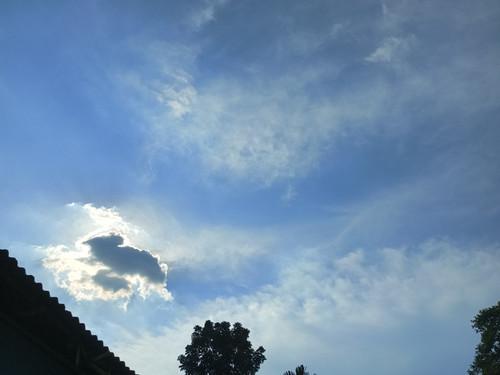 IMG 20240718 161443 902.jpg