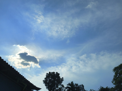 IMG 20240718 161449 268.jpg