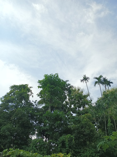 IMG 20240718 161437 190.jpg