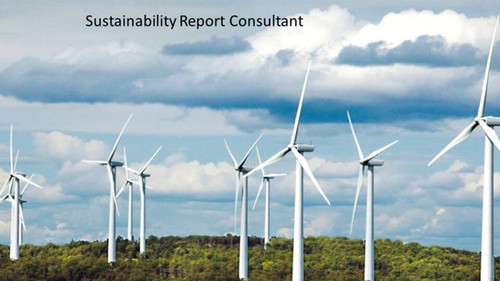 Sustainability Report Consultant.jpg