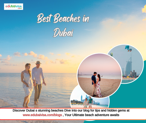 Discover the Stunning Beaches of Dubai.png