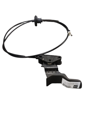 Photoroom 20240717 150204.png