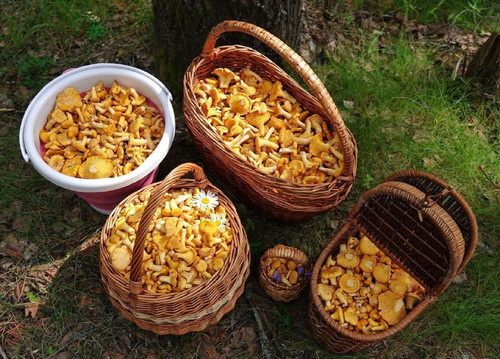 Hb59sze5qqtWfE4 YjsVMEDq mSdNQfxfOlkgqDmRR5L7DiwDtzuQSPx9Lez3Yc4wiKbQ52QsN10hC4K cjWLuy8l3vPEVFDgSIn.jpg