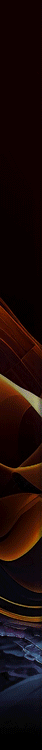 Announcement Flyer 02.gif