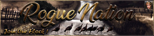 Turkey Banner.jpg