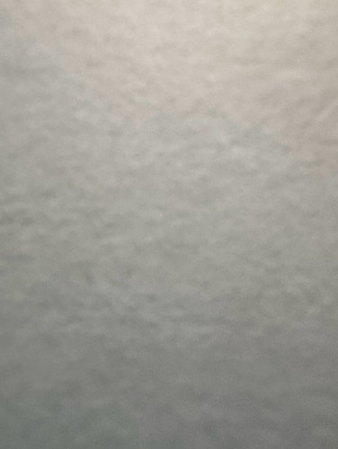 81.jpg