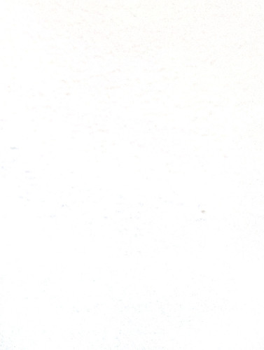96.jpg