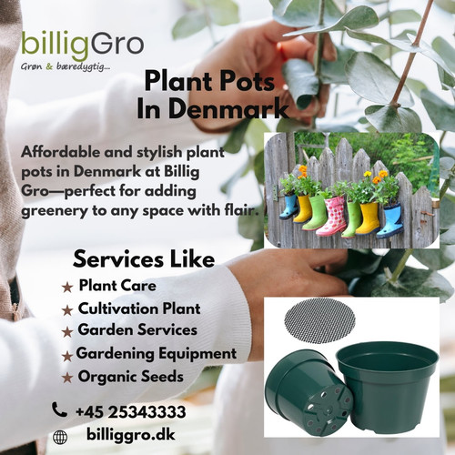 plant pots Canva.jpg