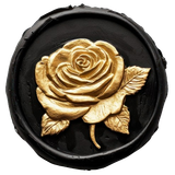 sceal removebg preview.png