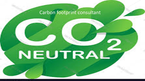 Carbon footprint consultant 2.jpg