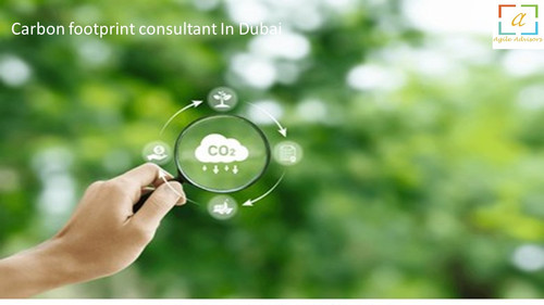 Carbon footprint consultant In Dubai 1.jpg
