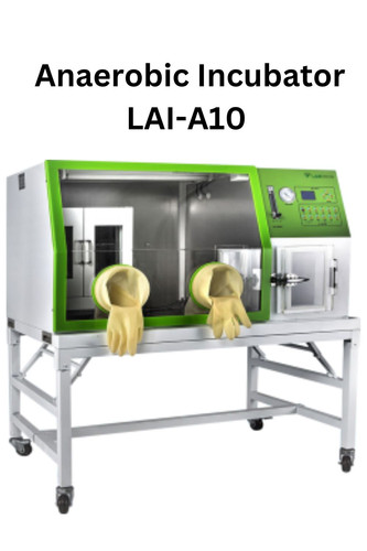 Anaerobic Incubator LAI A10.jpg