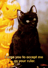ezgif 1 5e33c62477.gif