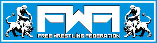 grafica banner fwf.jpg