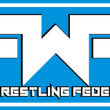 grafica banner fwf
