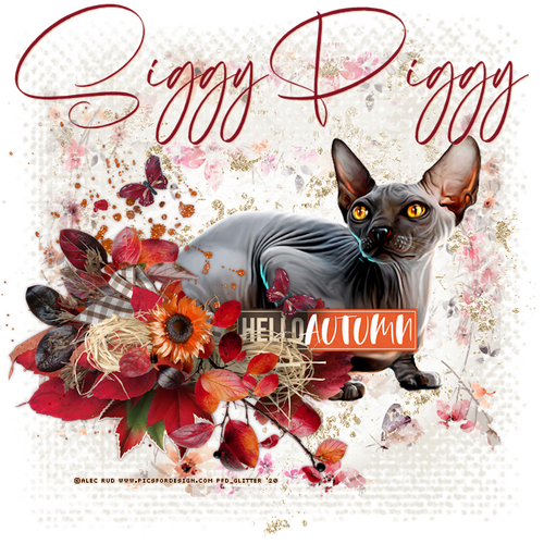 HelloAutumnSphynxSP vi.png