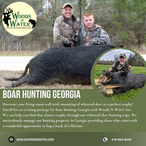Boar Hunting Georgia.jpg