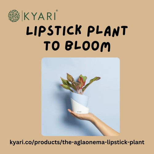 Encourage Your Lipstick Plant to Bloom.jpg