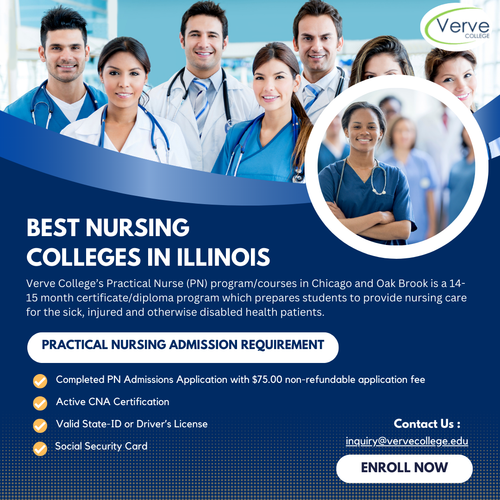 Top Nursing Colleges in Illinois | Verve College.png