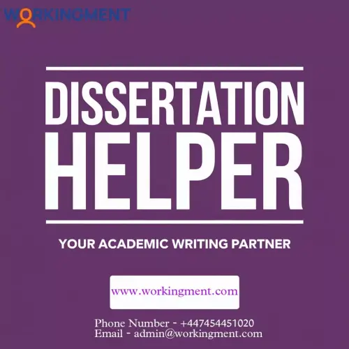 dissertation helper638633636605705685.webp