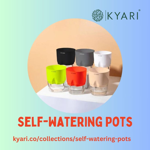 Self-Watering Pots vs. Traditional Pots.jpg