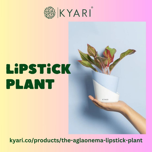 Your Lipstick Plant to Bloom.jpg