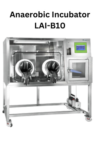 Anaerobic Incubator LAI B10.jpg
