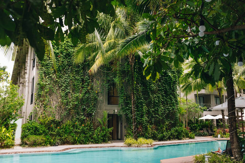 de88198a eeb9 4a0f 822a 729d3f9f9dbd.jpg