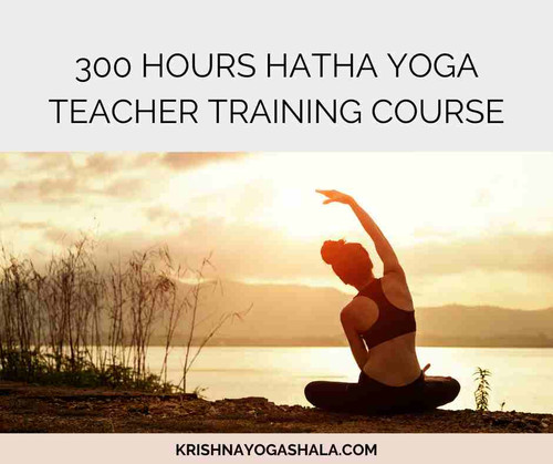 300 Hours Hatha Yoga Teacher Training Course krishnayogashala.jpg