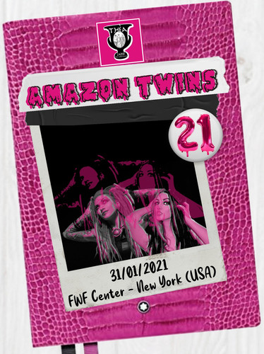 poster 142 amazon twins 21