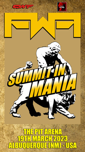 poster 165 fwf summit in mania