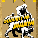 poster 165 fwf summit in mania