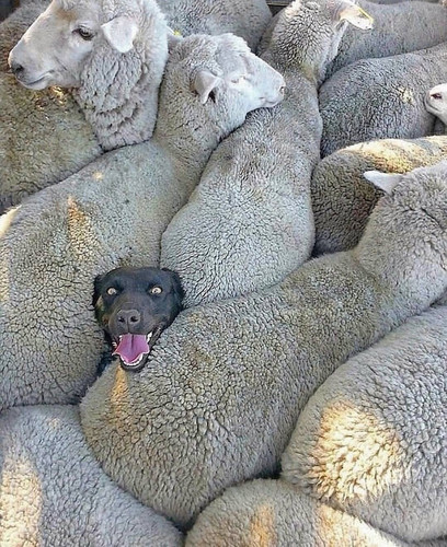 help.jpg