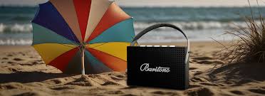 Explore Premium Audio Accessories at Baritono.jpg