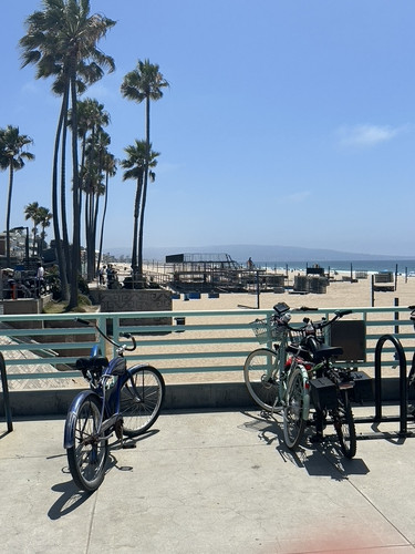 B8347FE6 8C4D 4539 A9AA 6D17214BAA8F 1 105 c.jpg