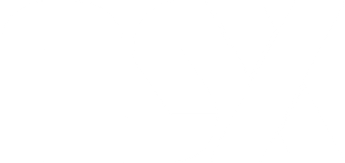 logoNsx.png