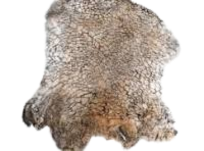 image 2024 08 15 053925537.png