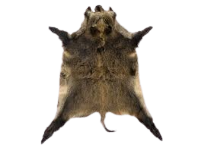 image 2024 08 15 054355721.png