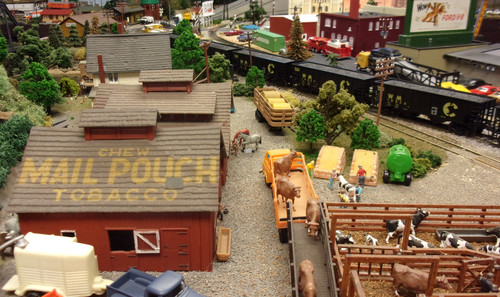 KODAK Digital Still Camera.jpg