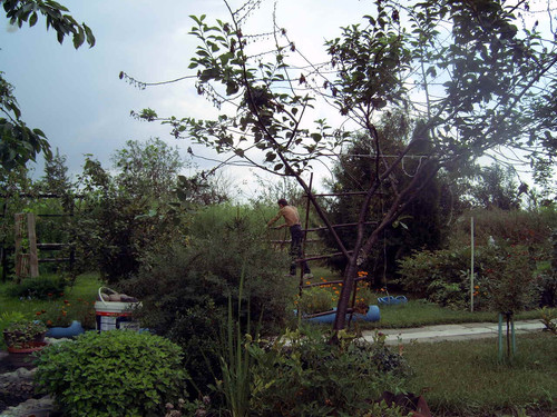 MEDION DIGITAL CAMERA.jpg