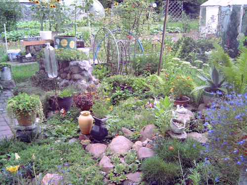 MEDION DIGITAL CAMERA.jpg