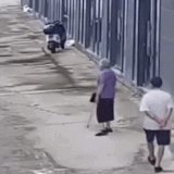 GIF.gif