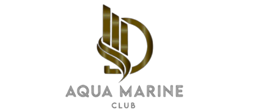 company logo.png