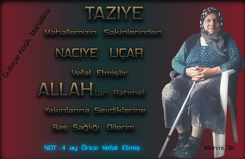 NACIYE UCAR.MERMI 38.jpg