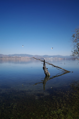 R0000457.jpg
