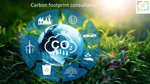 Carbon footprint consultancy.jpg