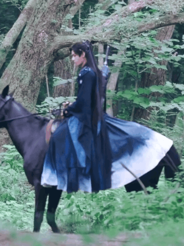 IMG 7441.gif