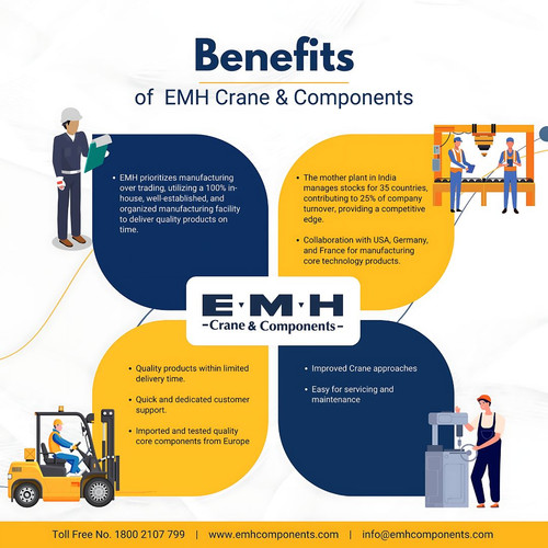 Your Ultimate Crane Solution Provider.jpg